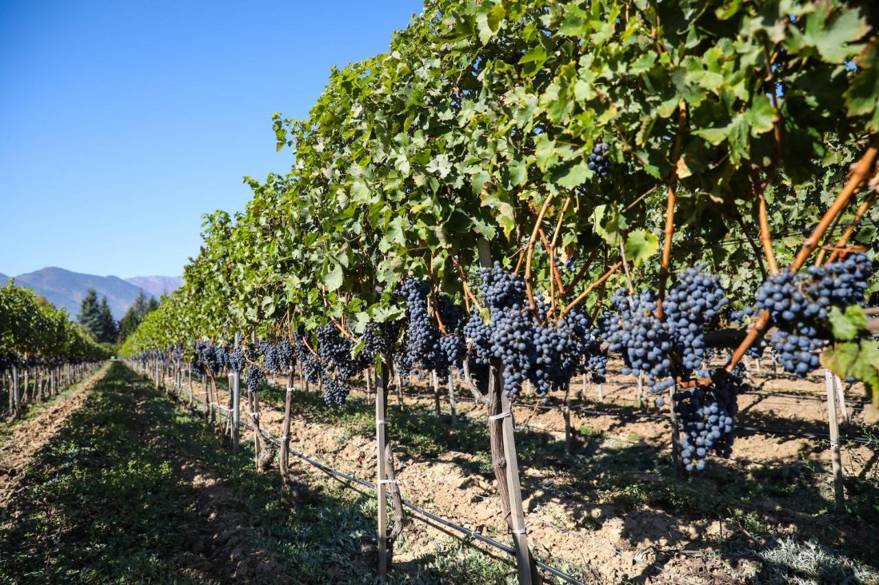 Uva Nestum Wine & Spa Gotse Delchev Esterno foto